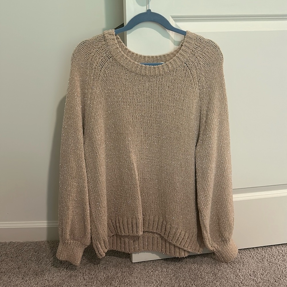 Shimmery sweater